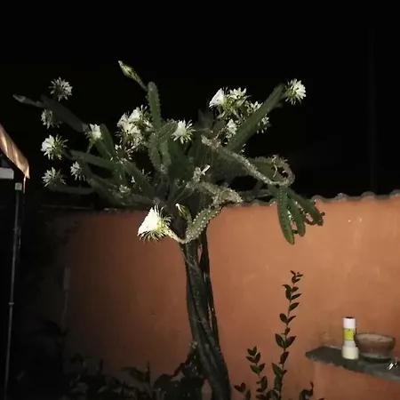 Casa E Sempre Casa... Séjour chez l'habitant