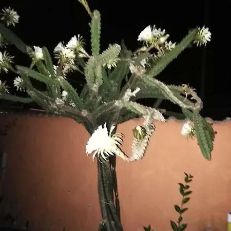 Casa E Sempre Casa...