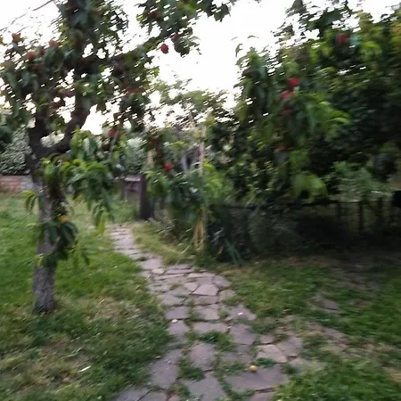 Casa E Sempre Casa... * Roma